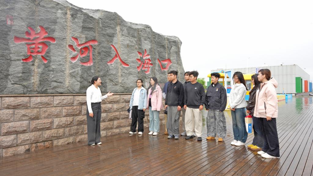 yl23455永利
